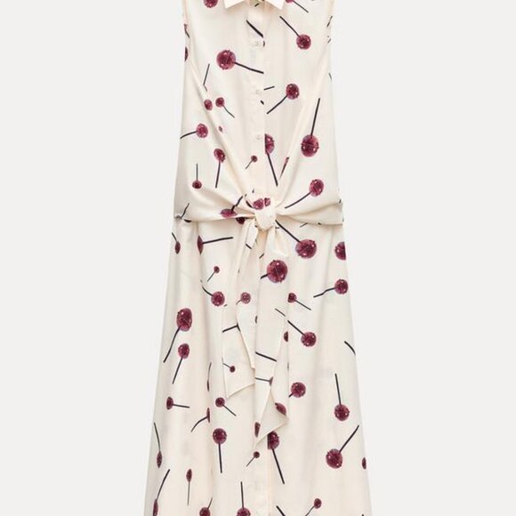 ZARA SS24 PRINTED POPLIN SHIRTDRESS ZW COLLECTION 3089/144 019/320 - Picture 6 of 11